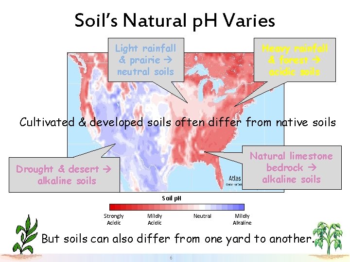 Soil’s Natural p. H Varies Light rainfall & prairie neutral soils Heavy rainfall &