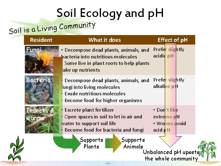 Soil Ecology and p. H ity n u m m o C g n