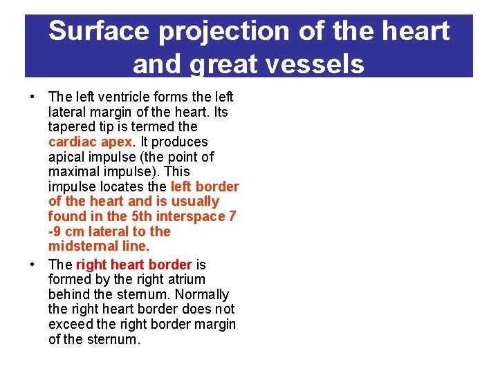 Surface projection of the heart and great vessels • The left ventricle forms the