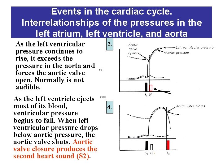 Events in the cardiac cycle. Interrelationships of the pressures in the left atrium, left