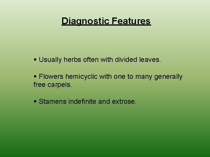 Diagnostic Features § Usually herbs often with divided leaves. § Flowers hemicyclic with one