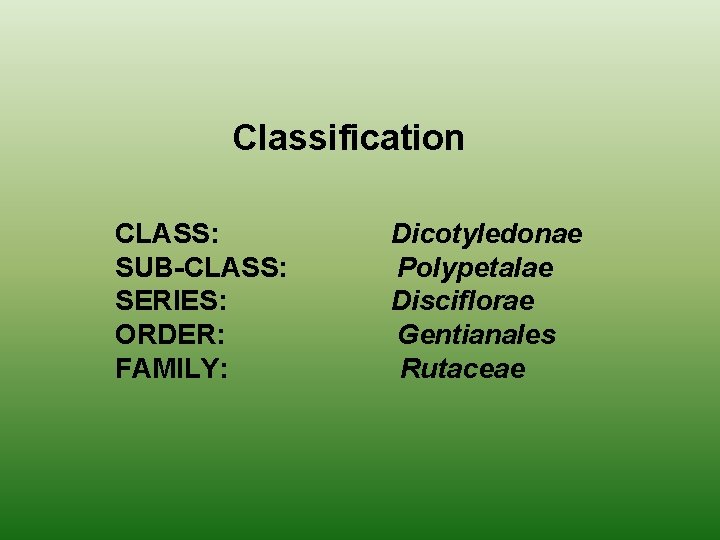 Classification CLASS: SUB-CLASS: SERIES: ORDER: FAMILY: Dicotyledonae Polypetalae Disciflorae Gentianales Rutaceae 