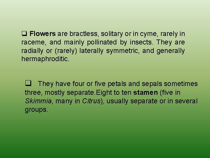 q Flowers are bractless, solitary or in cyme, rarely in raceme, and mainly pollinated