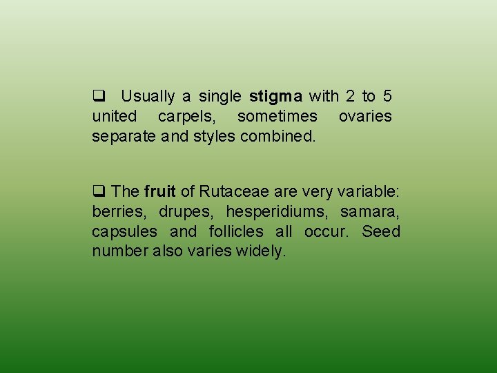 q Usually a single stigma with 2 to 5 united carpels, sometimes ovaries separate