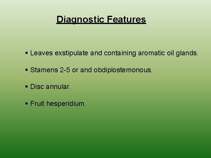 Diagnostic Features § Leaves exstipulate and containing aromatic oil glands. § Stamens 2 -5