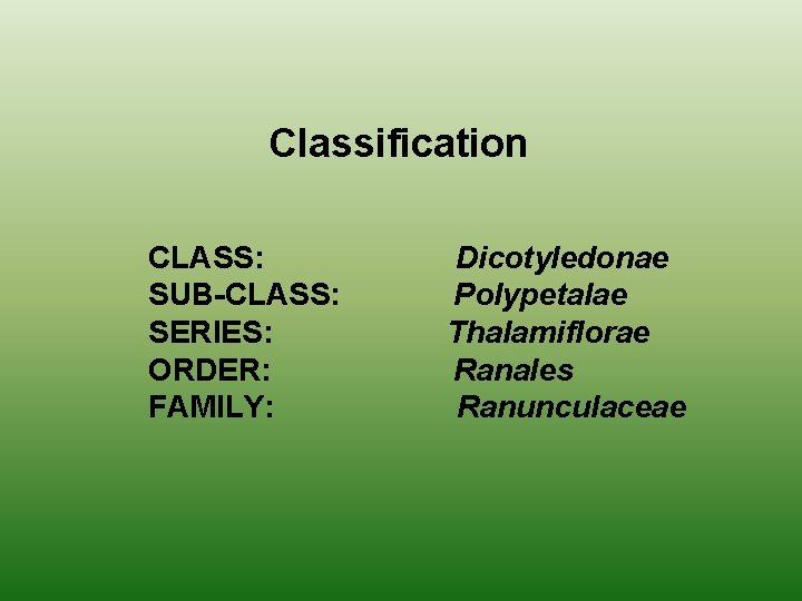 Classification CLASS: SUB-CLASS: SERIES: ORDER: FAMILY: Dicotyledonae Polypetalae Thalamiflorae Ranales Ranunculaceae 