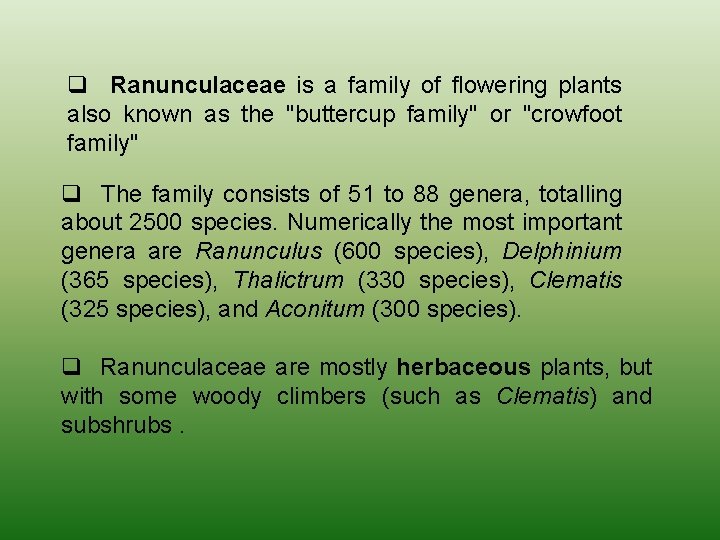 q Ranunculaceae is a family of flowering plants also known as the "buttercup family"