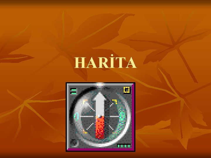 HARİTA 