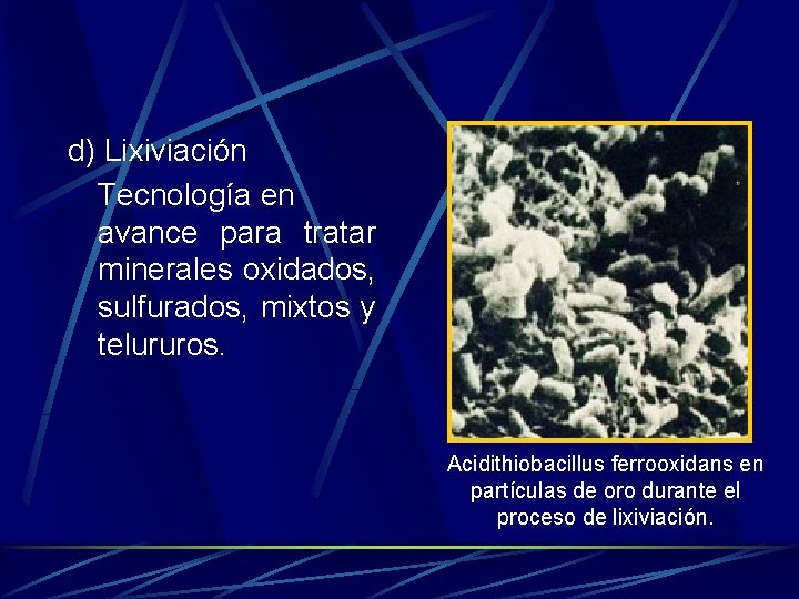 d) Lixiviación Tecnología en avance para tratar minerales oxidados, sulfurados, mixtos y telururos. Acidithiobacillus