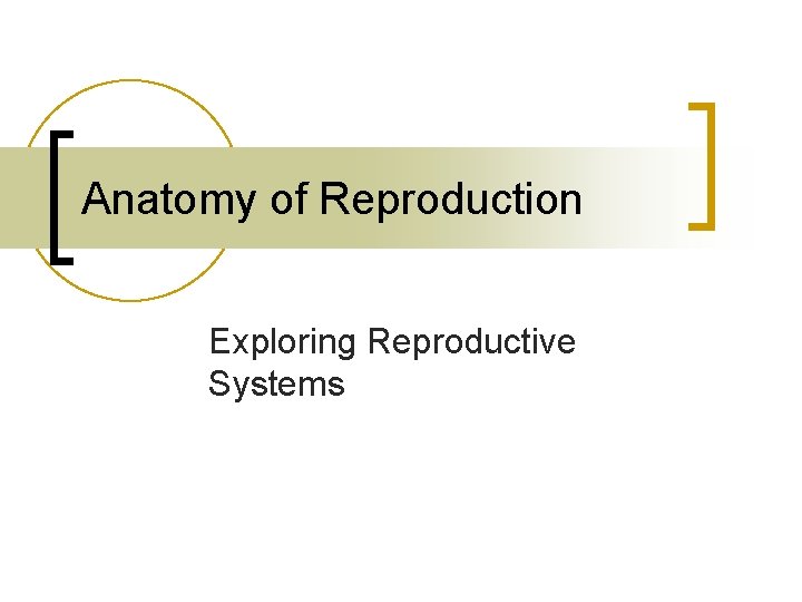 Anatomy of Reproduction Exploring Reproductive Systems 