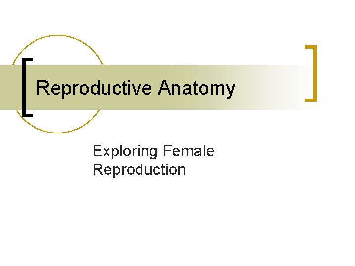 Reproductive Anatomy Exploring Female Reproduction 