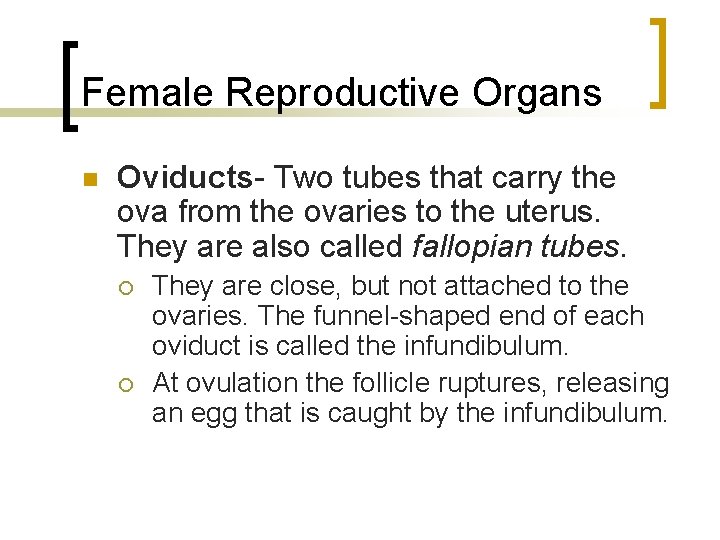 Female Reproductive Organs n Oviducts- Two tubes that carry the ova from the ovaries