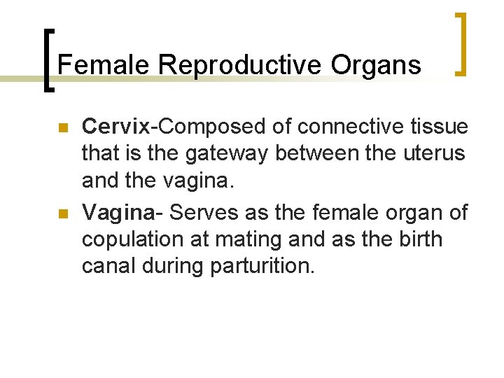 Female Reproductive Organs n n Cervix-Composed of connective tissue that is the gateway between