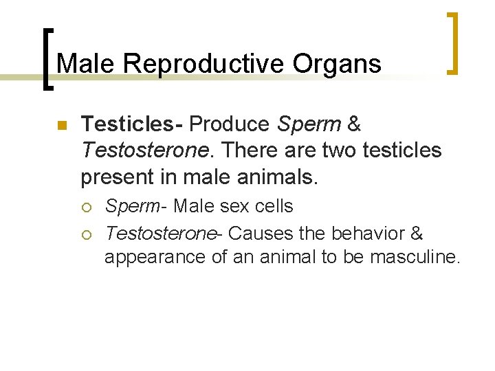 Male Reproductive Organs n Testicles- Produce Sperm & Testosterone. There are two testicles present