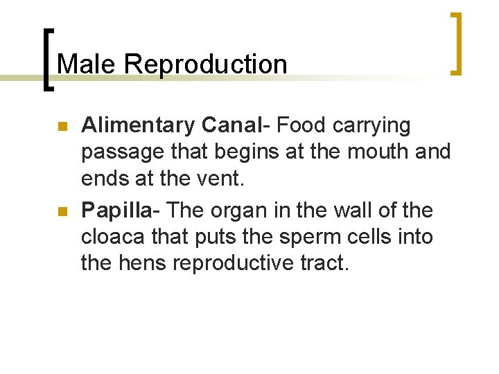 Male Reproduction n n Alimentary Canal- Food carrying passage that begins at the mouth