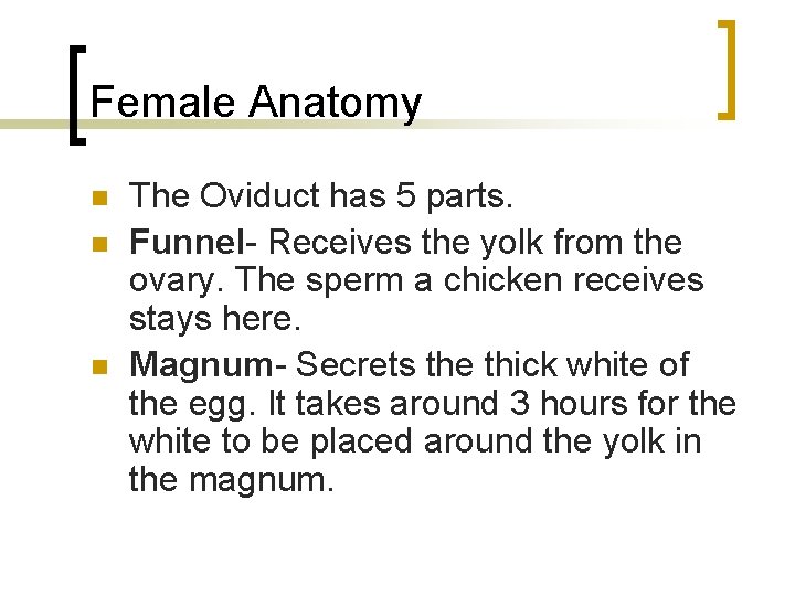 Female Anatomy n n n The Oviduct has 5 parts. Funnel- Receives the yolk