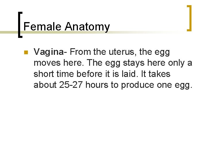 Female Anatomy n Vagina- From the uterus, the egg moves here. The egg stays
