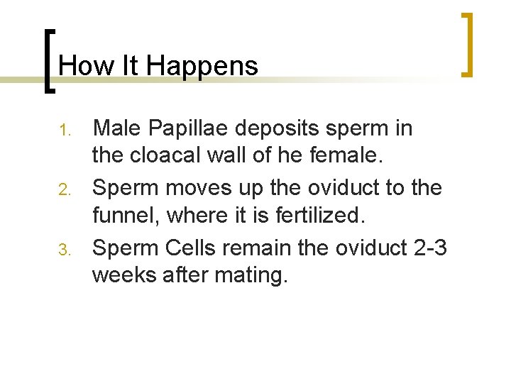 How It Happens 1. 2. 3. Male Papillae deposits sperm in the cloacal wall