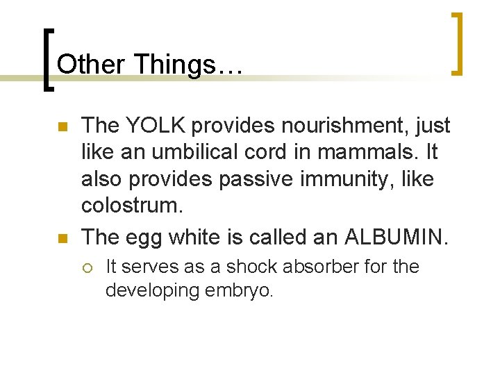 Other Things… n n The YOLK provides nourishment, just like an umbilical cord in