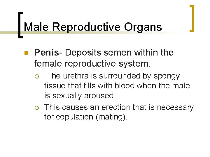 Male Reproductive Organs n Penis- Deposits semen within the female reproductive system. ¡ ¡