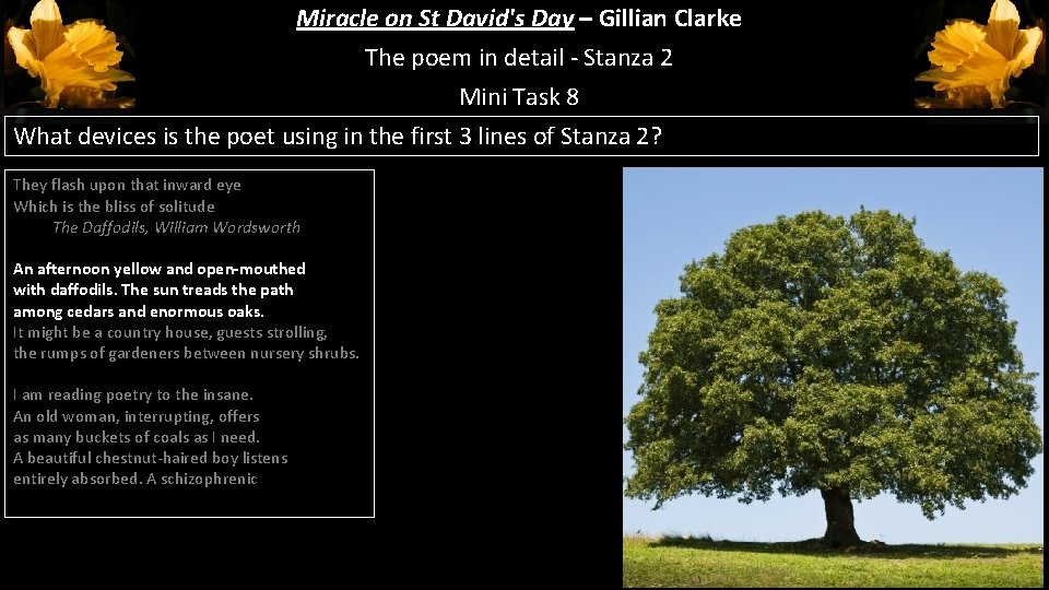 Miracle on St David's Day – Gillian Clarke The poem in detail - Stanza Miracle on St David's Day – Gillian Clarke The poem in detail - Stanza