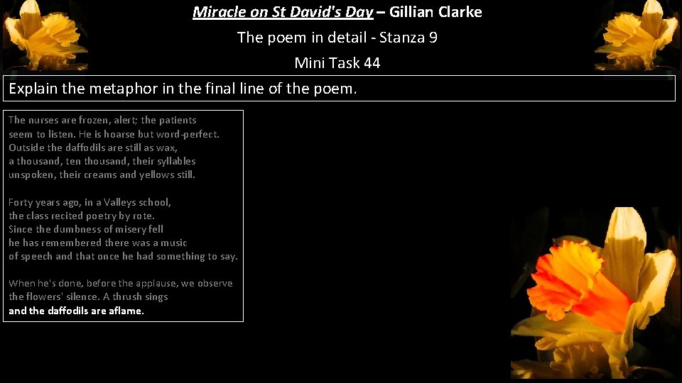 Miracle on St David's Day – Gillian Clarke The poem in detail - Stanza Miracle on St David's Day – Gillian Clarke The poem in detail - Stanza