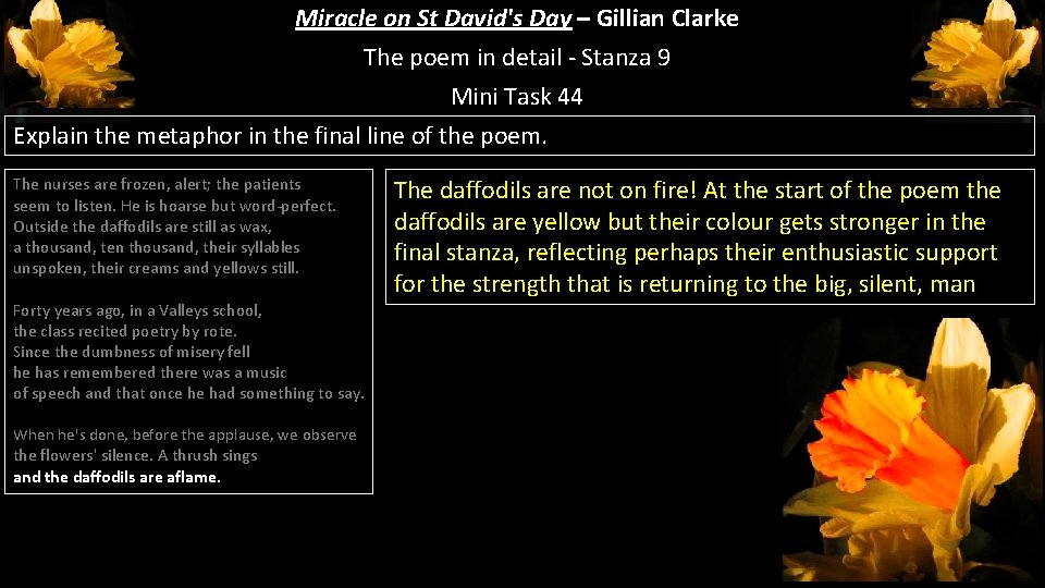 Miracle on St David's Day – Gillian Clarke The poem in detail - Stanza Miracle on St David's Day – Gillian Clarke The poem in detail - Stanza