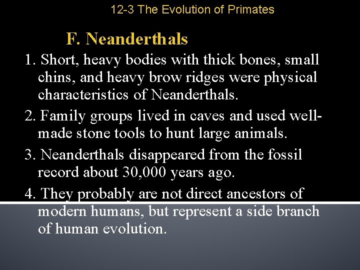 12 -3 The Evolution of Primates F. Neanderthals 1. Short, heavy bodies with thick