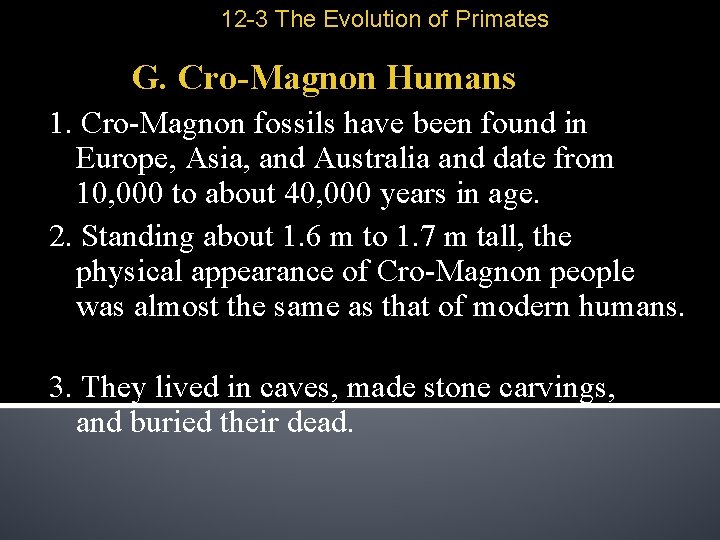12 -3 The Evolution of Primates G. Cro-Magnon Humans 1. Cro-Magnon fossils have been