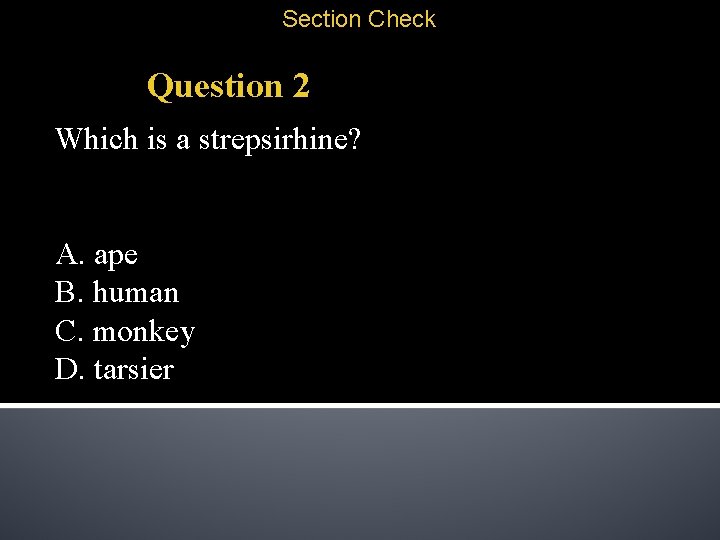 Section Check Question 2 Which is a strepsirhine? A. ape B. human C. monkey