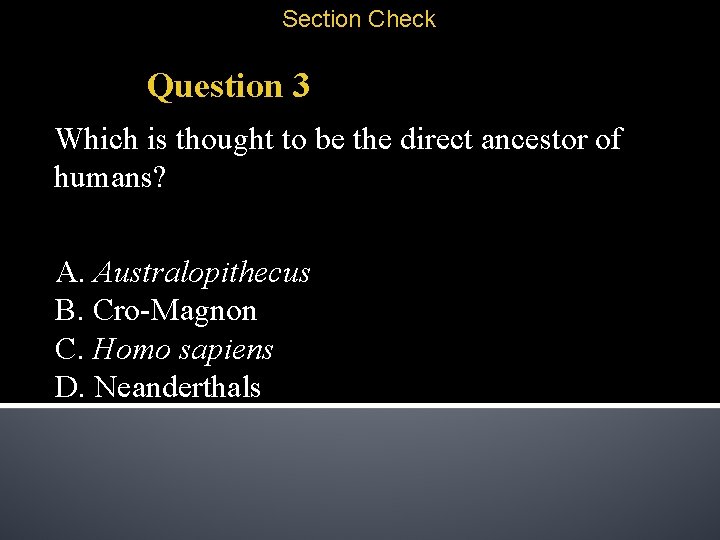 Section Check Question 3 Which is thought to be the direct ancestor of humans?
