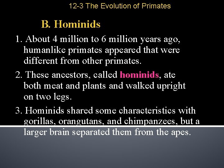 12 -3 The Evolution of Primates B. Hominids 1. About 4 million to 6