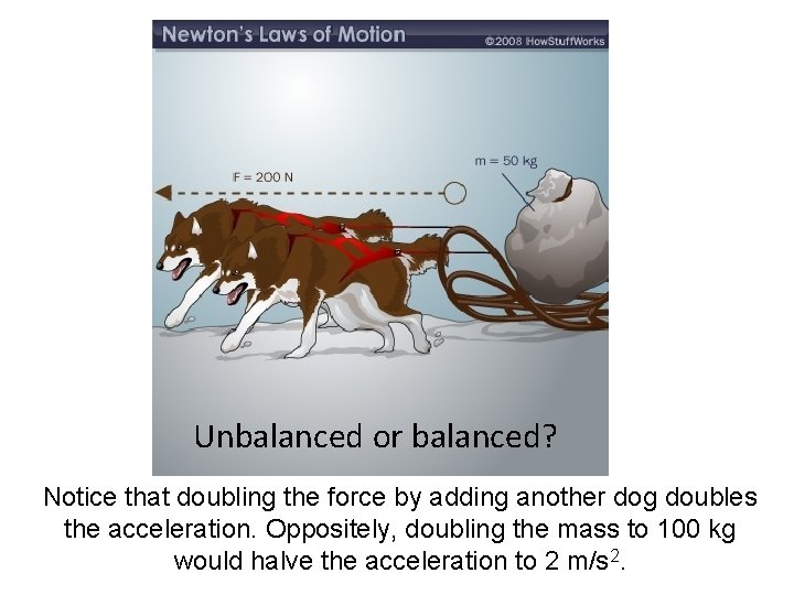 Unbalanced or balanced? Notice that doubling the force by adding another dog doubles the