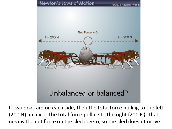 Unbalanced or balanced? If two dogs are on each side, then the total force