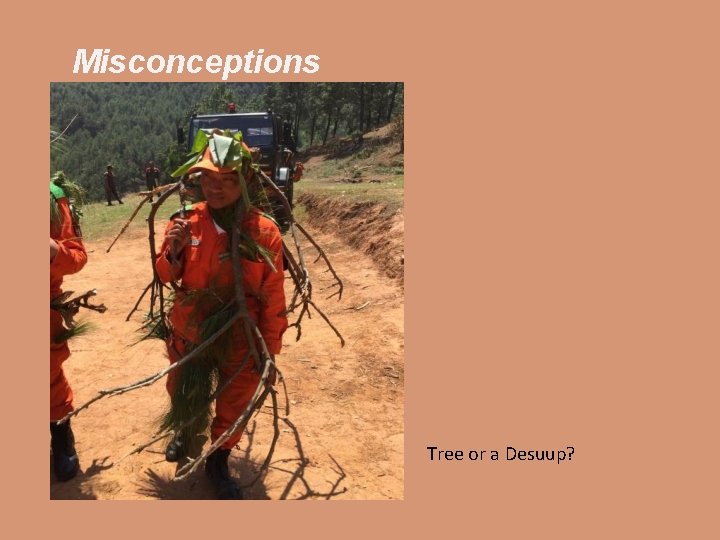 Misconceptions Tree or a Desuup? 