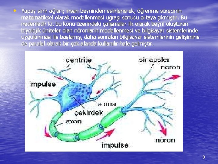  • Yapay sinir ağları; insan beyninden esinlenerek, öğrenme sürecinin matematiksel olarak modellenmesi uğraşı