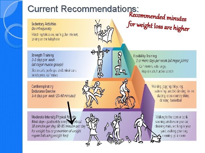 Current Recommendations: Re commended minut es for weight loss are h igher ↑ 