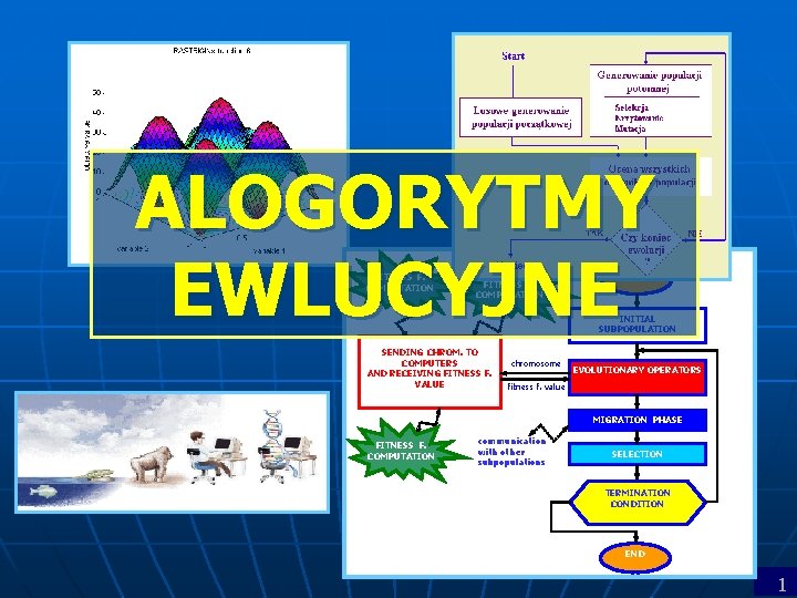 ALOGORYTMY EWLUCYJNE FITNESS F. COMPUTATION START FITNESS F. COMPUTATION INITIAL SUBPOPULATION SENDING CHROM. TO