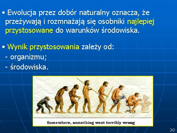  • Ewolucja przez dobór naturalny oznacza, że przeżywają i rozmnażają się osobniki najlepiej