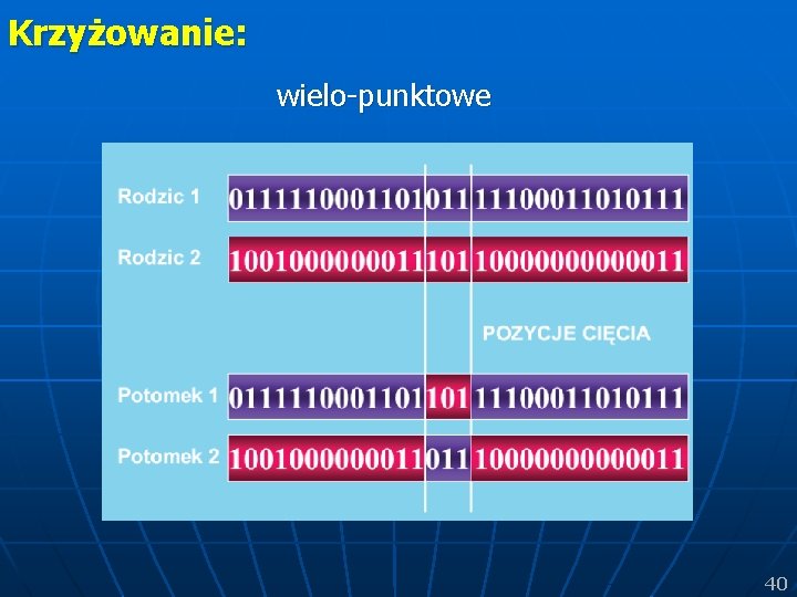 Krzyżowanie: wielo-punktowe 40 