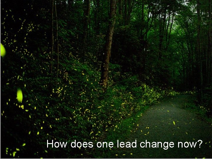 How does one lead change now? 