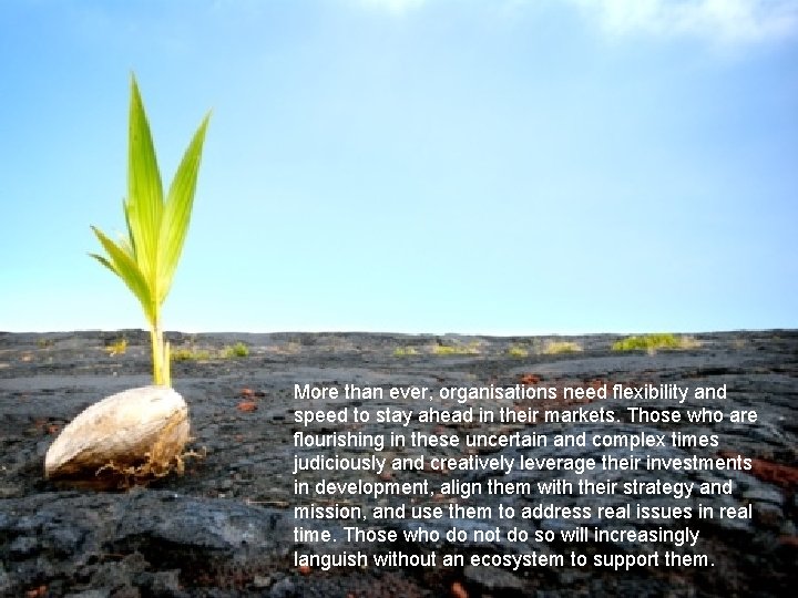 Pivot points Organization Development Network More than ever, organisations need flexibility and speed to