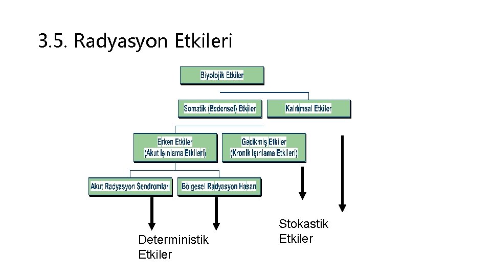 3. 5. Radyasyon Etkileri Deterministik Etkiler Stokastik Etkiler 