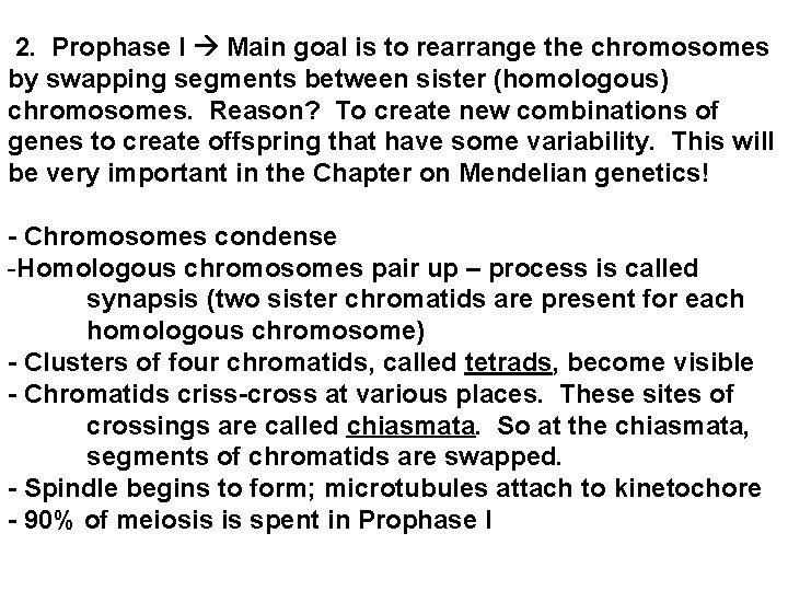  2. Prophase I Main goal is to rearrange the chromosomes by swapping segments