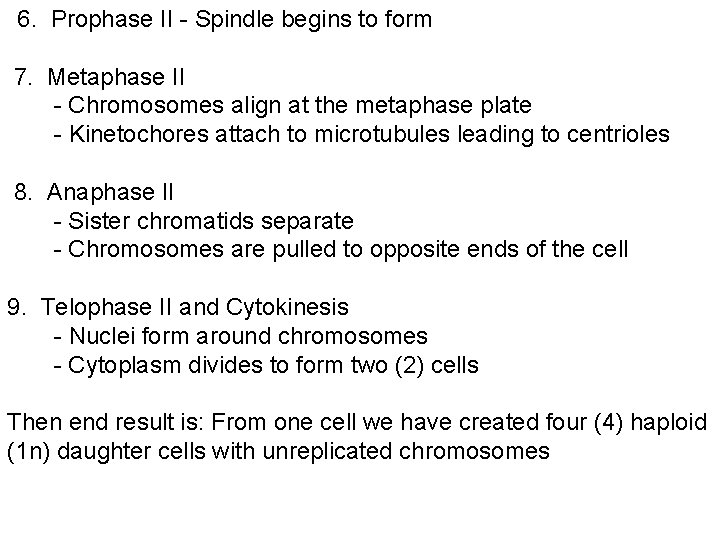 6. Prophase II - Spindle begins to form 7. Metaphase II - Chromosomes align