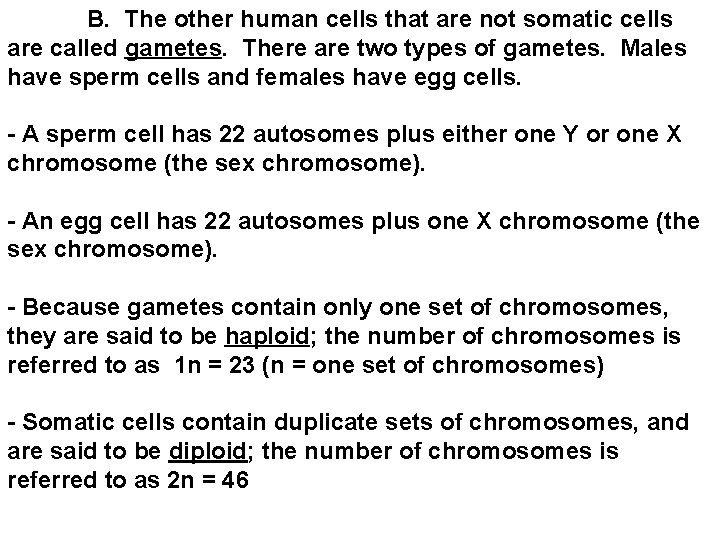  B. The other human cells that are not somatic cells are called gametes.