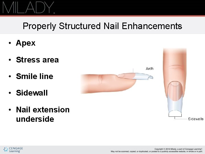 Properly Structured Nail Enhancements • Apex • Stress area • Smile line • Sidewall