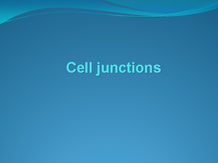 Cell junctions 