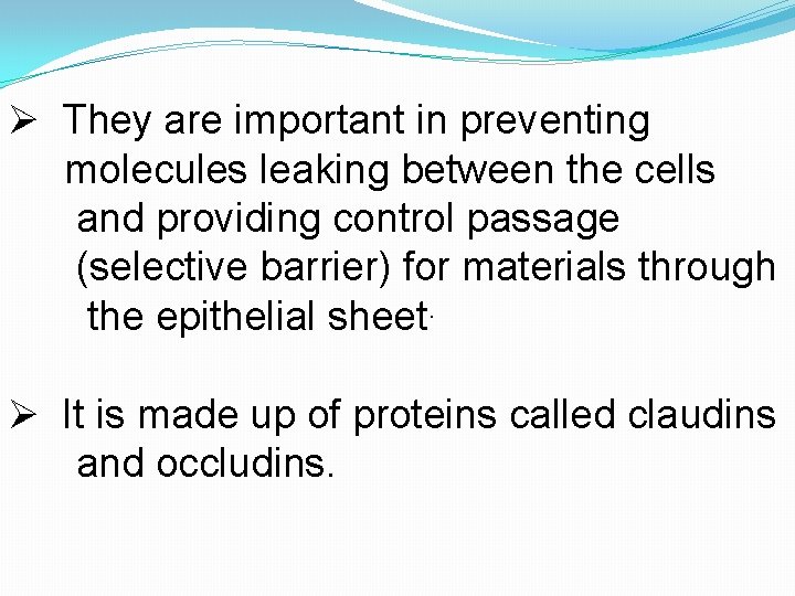 Ø They are important in preventing molecules leaking between the cells and providing control