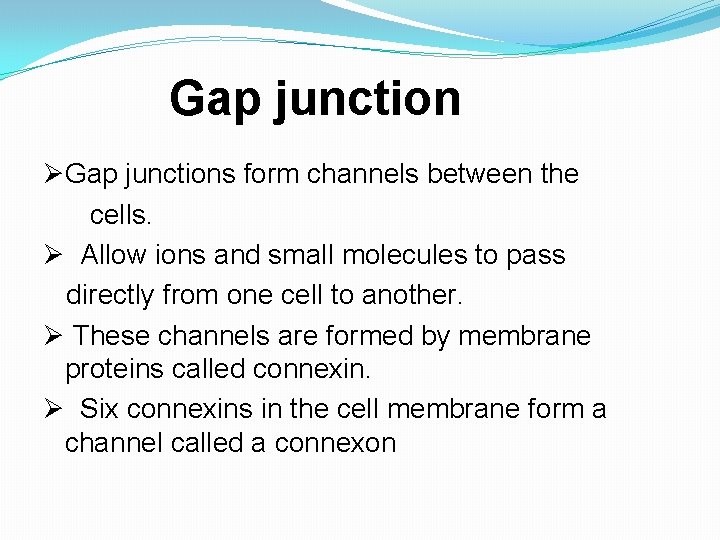 Gap junction ØGap junctions form channels between the cells. Ø Allow ions and small